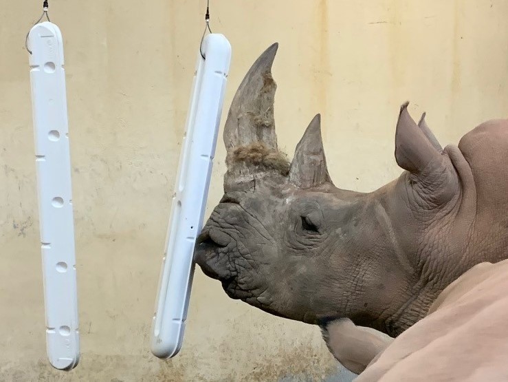 Bumper Enjoyment!! AMP Marine